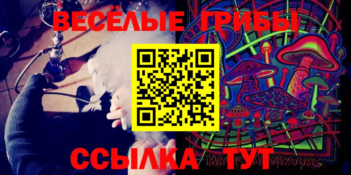 дарнет шоп  Галлюциногенные грибы мухоморы  Вход с VPN  Вязники 